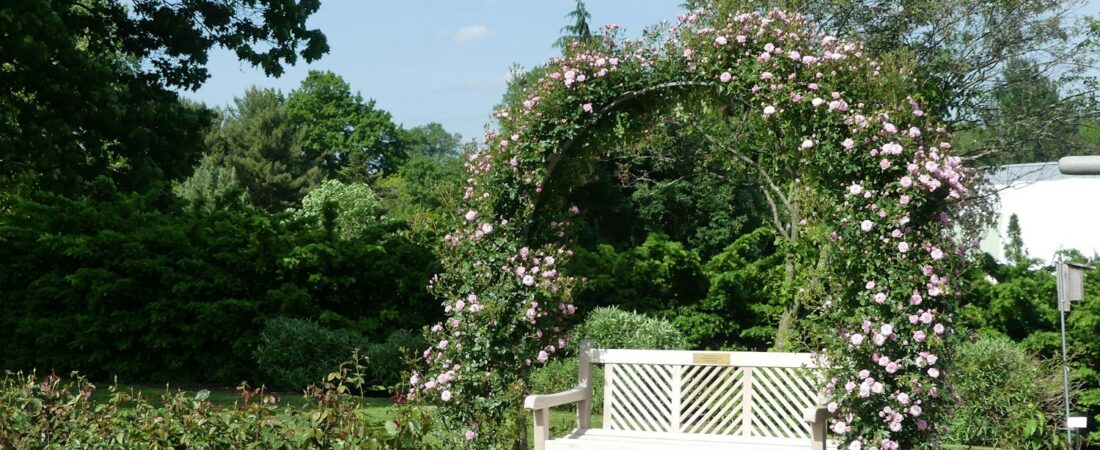 A bench in a quiet garden, the kind of grounds a residential care home is built around