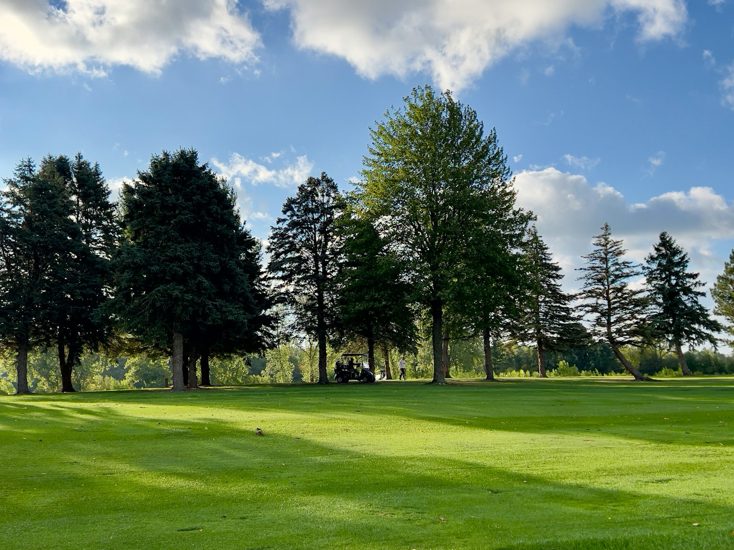 A green golf course with tall trees, one of the MWR facilities now open to eligible veterans